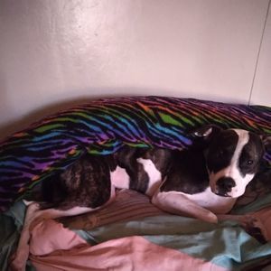 Meet your Posher, Kelli